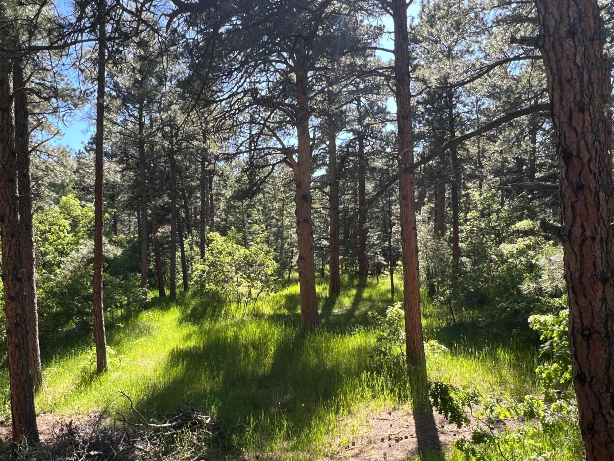 Colorado City Cozy Cabin On The Creek מראה חיצוני תמונה