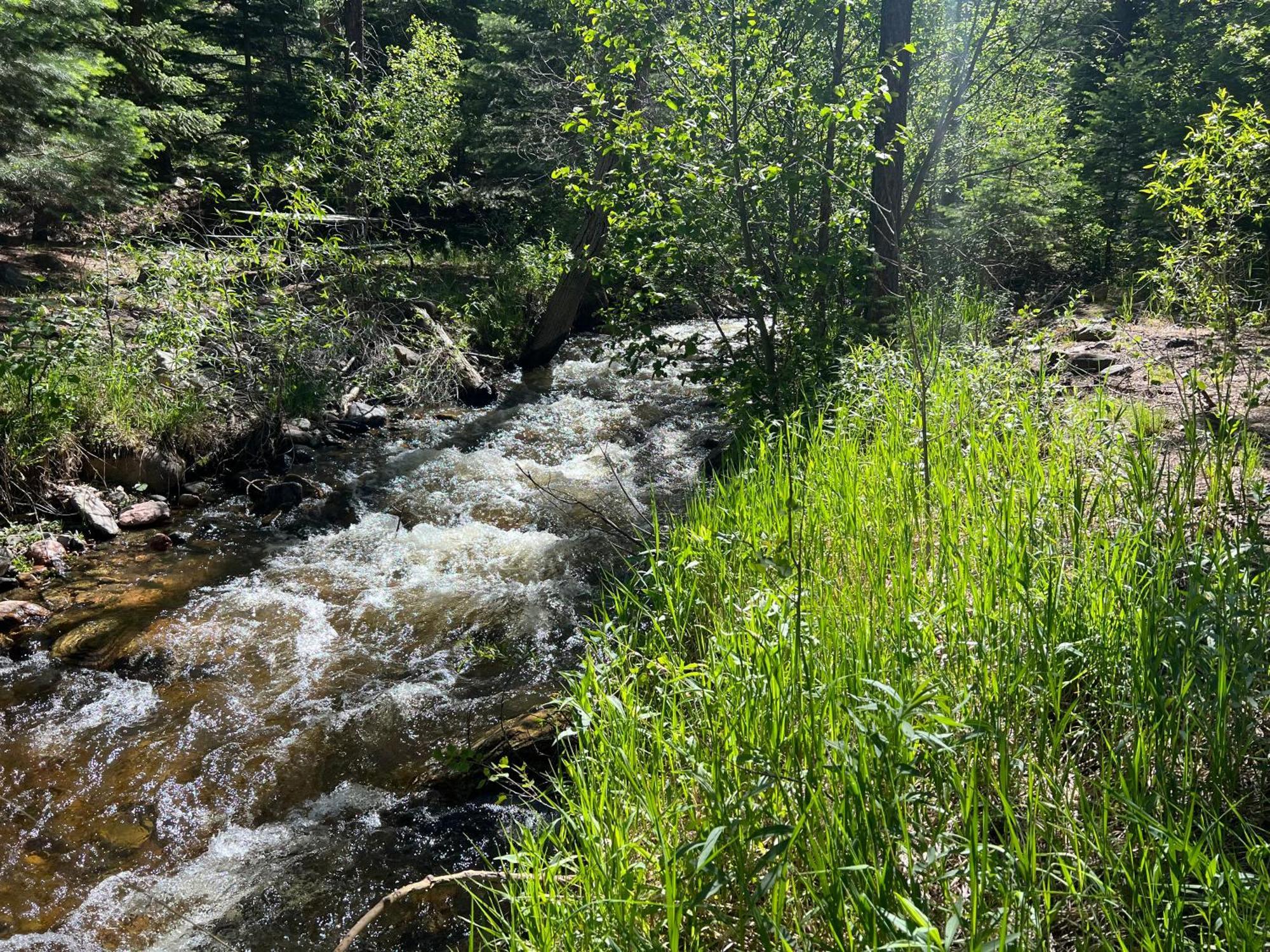 Colorado City Cozy Cabin On The Creek מראה חיצוני תמונה
