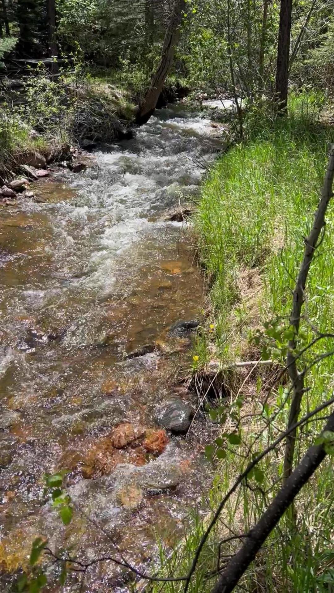 Colorado City Cozy Cabin On The Creek מראה חיצוני תמונה