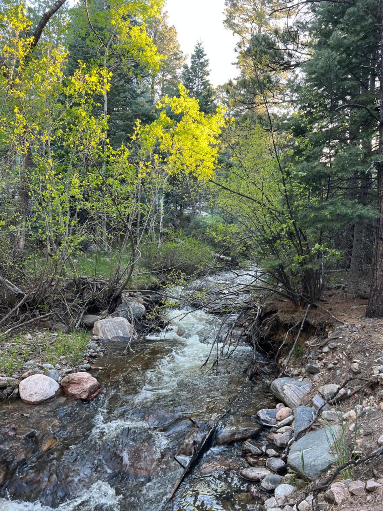 Colorado City Cozy Cabin On The Creek מראה חיצוני תמונה